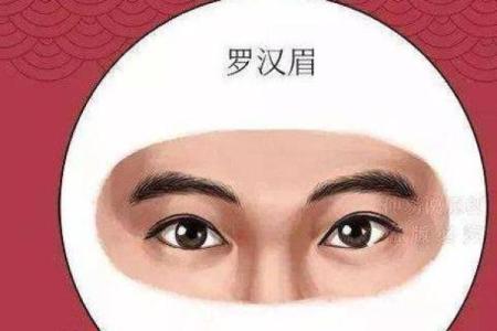 风水面相哪三种眉毛男人最好命