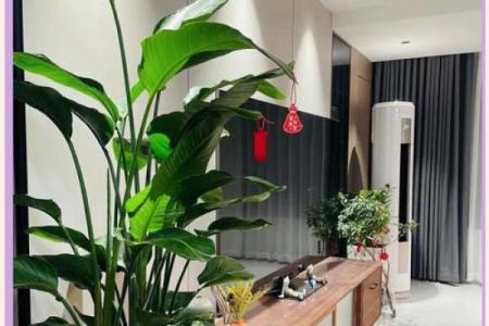 家庭装修风水学有什么风水讲究
