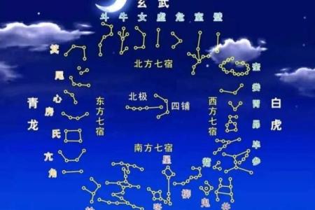 紫薇斗数医生