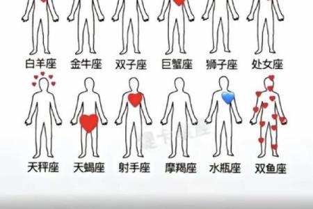 爱双鱼女入骨的星座男 爱双鱼男入骨的星座女
