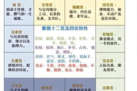 紫薇斗数12神