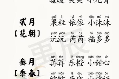 宝宝起名免费算生辰八字