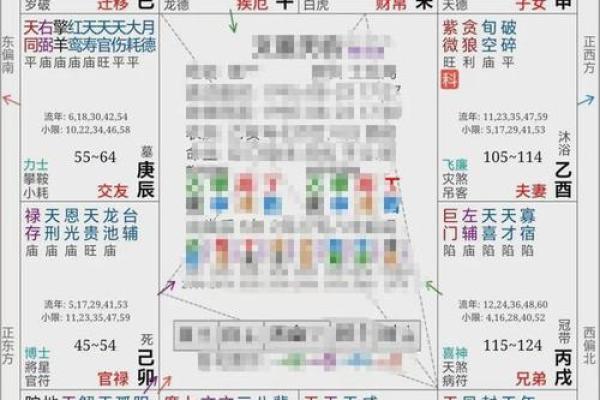 玩转地球紫薇斗数