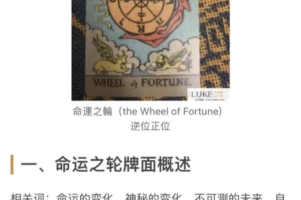 塔罗测试五月学习运
