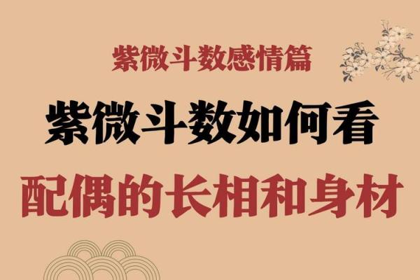 紫薇斗数相貌身材