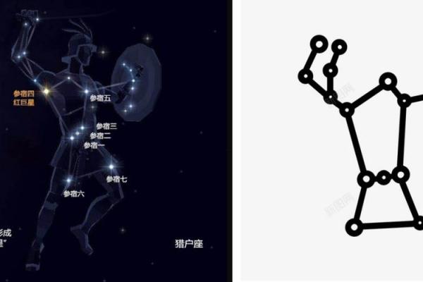 猎户星座是什么座