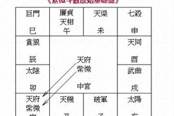 紫薇斗数夹主星