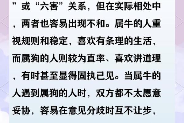 免费算命十二生肖运势属牛的