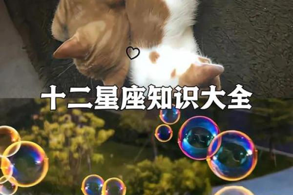 十二星座宝典大全，完整解读每个星座性格特点、运势、爱情等