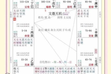 紫微斗数诸星落诸宫之：天相星兄弟宫详解