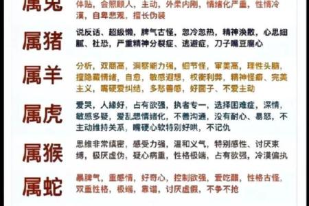 八字算命生肖六合是什么意思