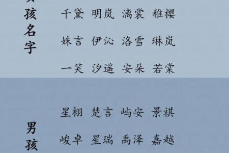 2019年3月29号未时出生的男孩起名时要注意什么姓名