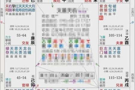 玩转地球紫薇斗数