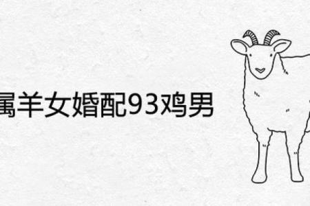 男91年羊和93年女鸡可婚配吗 91年羊男和93年鸡女是否适合婚姻配对