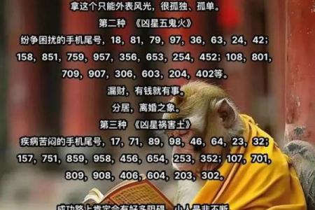 车牌吉凶查询打分测试免费 尾数为9的车牌号好不好