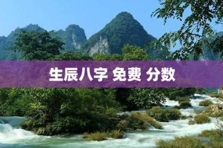 八字分数