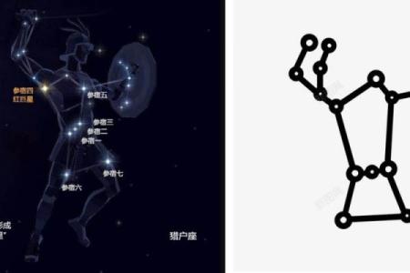 猎户星座是什么座