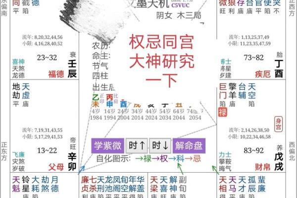 紫薇斗数比八字准