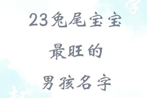 推荐给属兔未时出生的男孩起的名字姓名