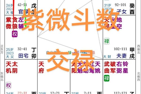 禄马紫薇斗数