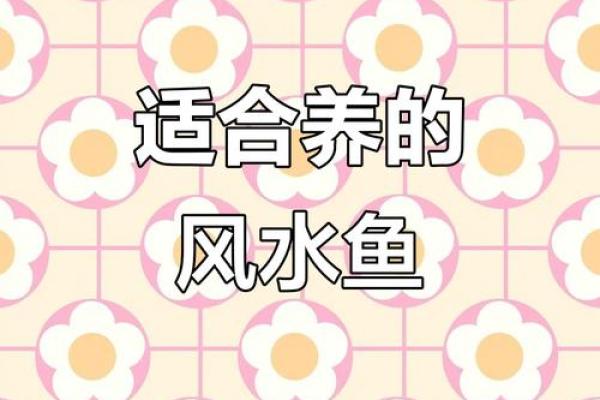 记住这些养鱼风水,会让你财源滚滚来