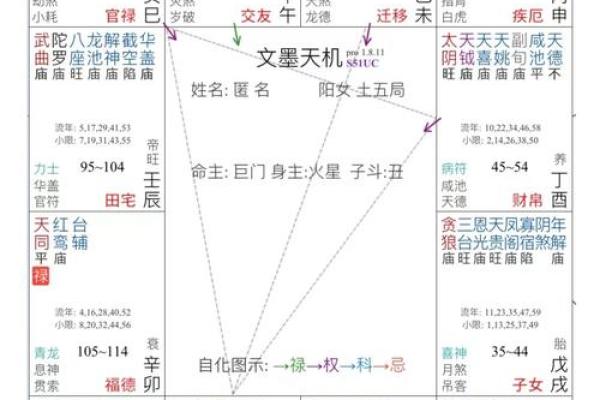 紫薇斗数紫薇化忌