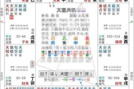 紫薇斗数高人