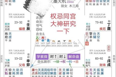 紫薇斗数比八字准