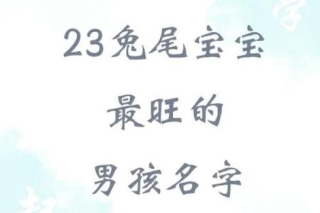 推荐给属兔未时出生的男孩起的名字姓名