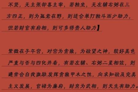 陌元紫薇斗数