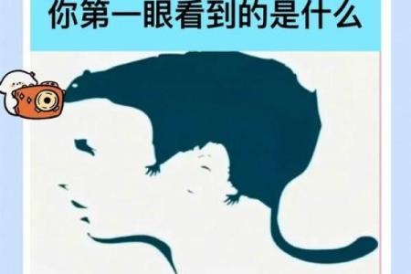 测试：你是大智若愚还是真的傻？