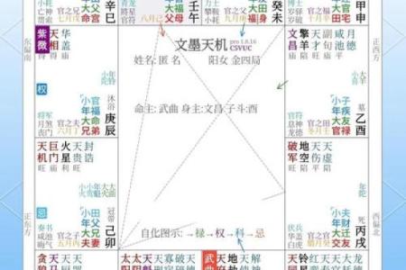 k366紫薇斗数