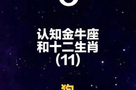 哪种生肖与金牛座最配对