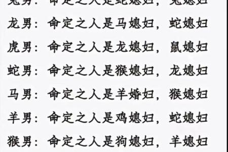 十二生肖婚配大全表 12生肖婚姻最佳配对表图片