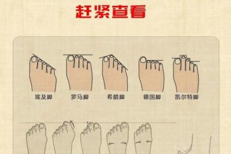 风水最有福气女人的脚型看命运