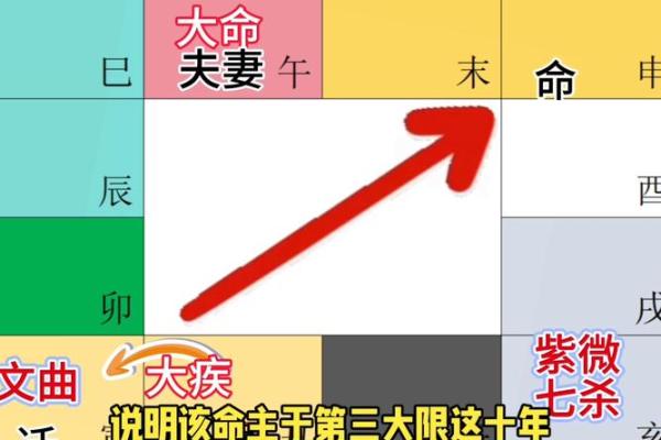 紫薇斗数武曲化科坐命辰宫