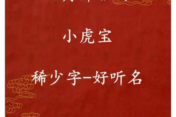 凌晨2点出生的属虎男孩如何起名，宜用什么字姓名