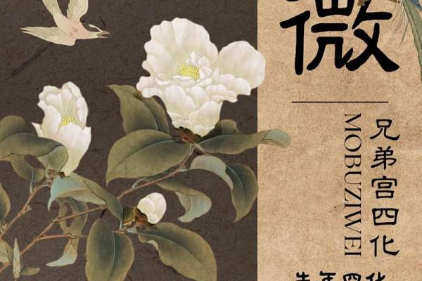 紫薇斗数漫画