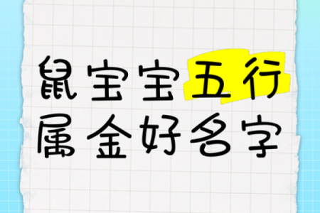 中午1点出生的属鼠男孩用什么字取名比较好姓名