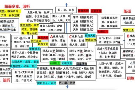 紫薇斗数紫薇分宫论