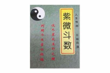 紫薇斗数下载