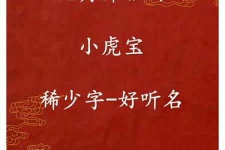 凌晨2点出生的属虎男孩如何起名，宜用什么字姓名
