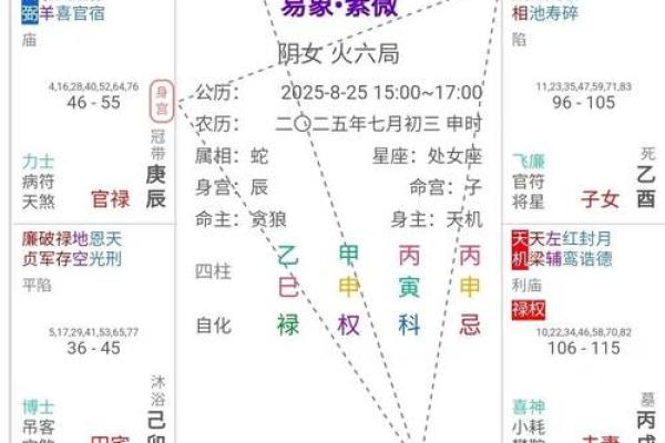 紫薇斗数怎么起流年