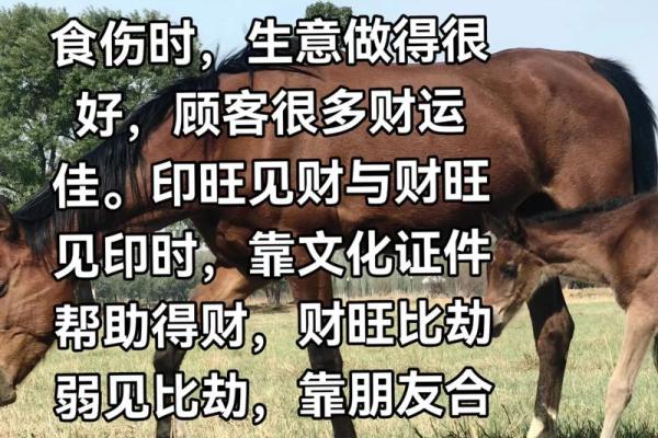 【神准测试】开财运！年底你的财运会如何？怎样开财运？