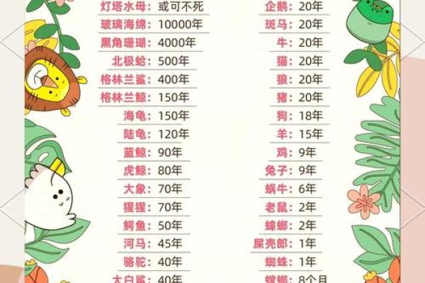 风水12生肖寿命最长的是什么动物是它吗