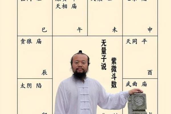 文教法律紫薇斗数