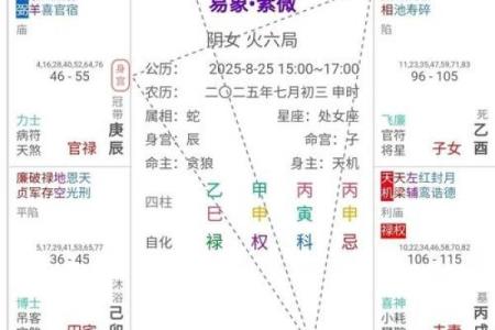 紫薇斗数怎么起流年