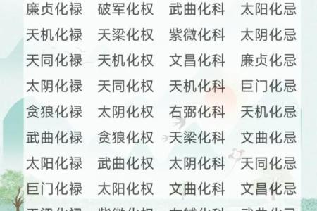 紫薇斗数灵媒
