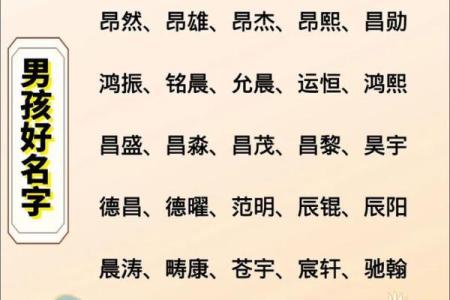 2019年5月29号子时出生的男孩起名方法姓名