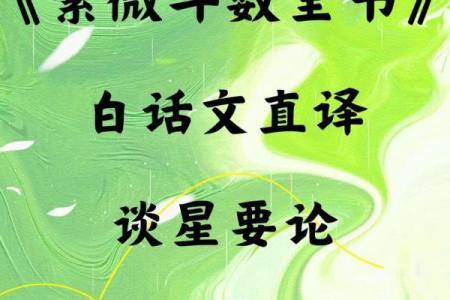 文教法律紫薇斗数